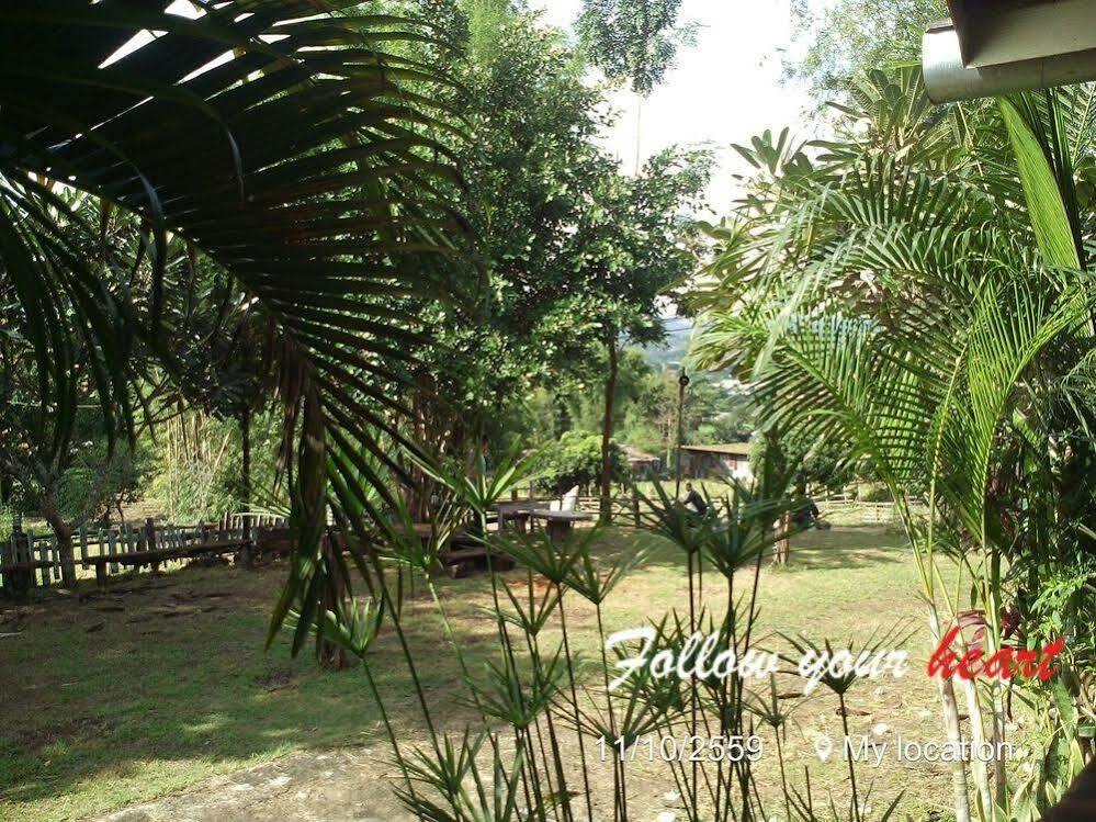 Banpak Phusuay Hotel Paj Kültér fotó